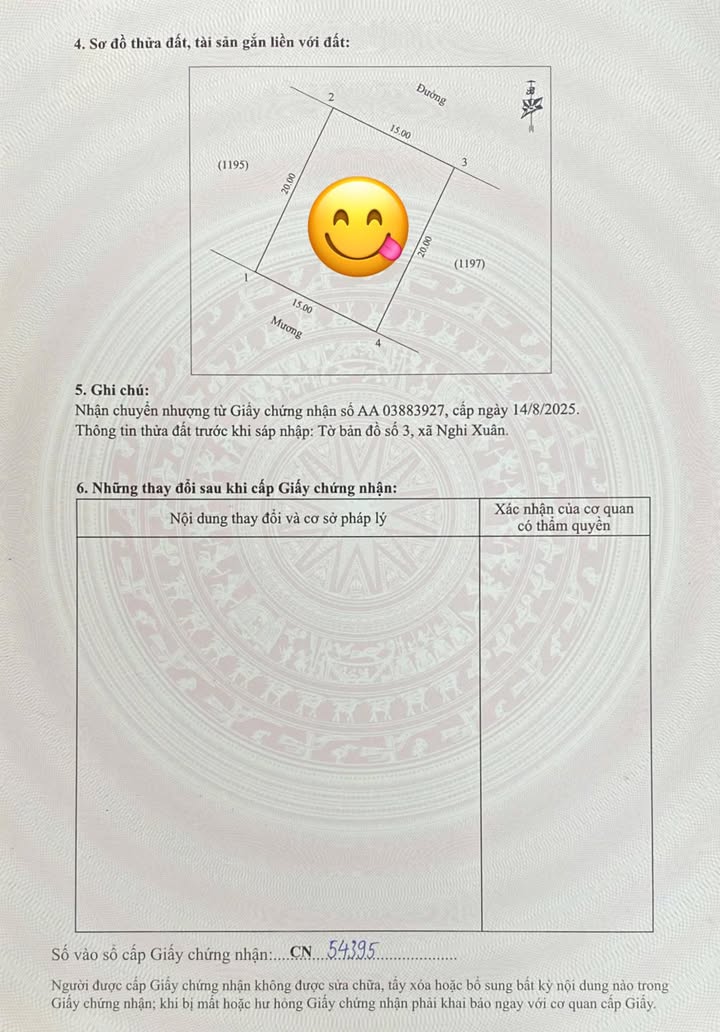 Đất nền TDC Nghi Xuân, Phường Hưng Lộc, 300m² - Cơ hội đầu tư hấp dẫn!