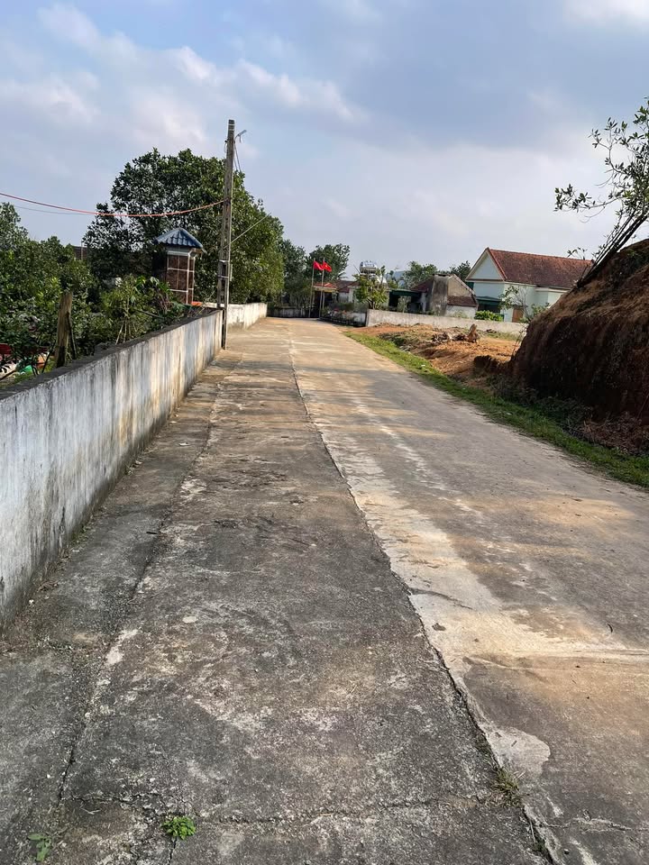 Đất nền Nghĩa Thái, Huyện Nam Đàn 300m² giá 600 triệu - Đầu tư sinh lời ngay!