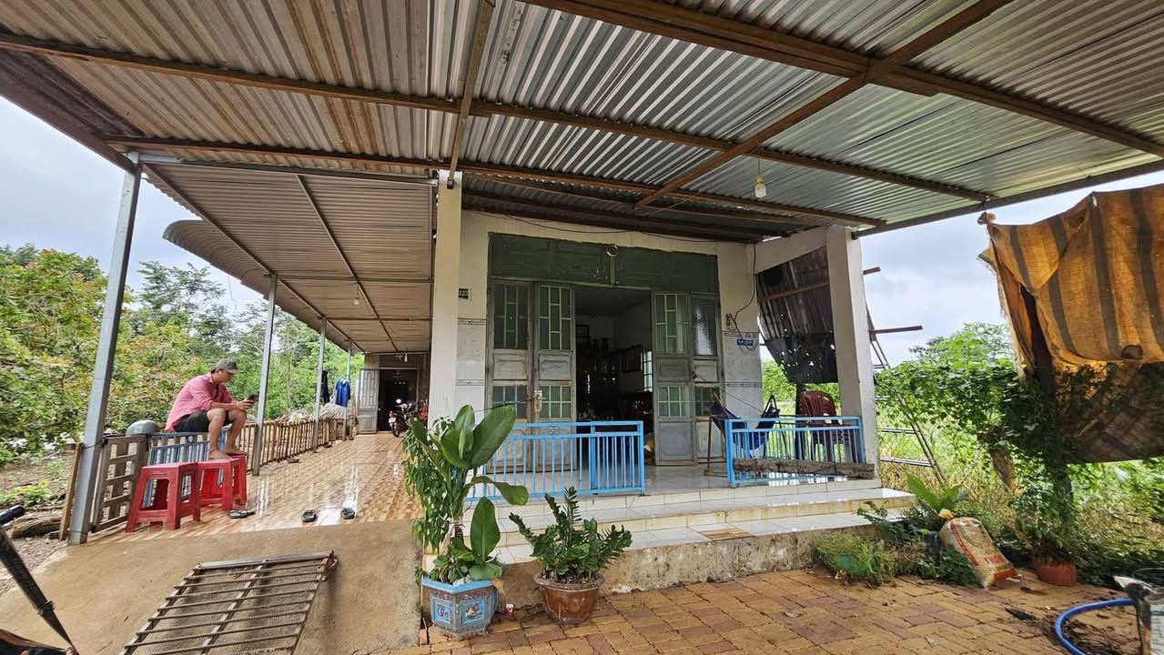 Đất nông nghiệp xã Thiện Hưng 12.240m² giá 750 triệu - Chính chủ bán gấp!