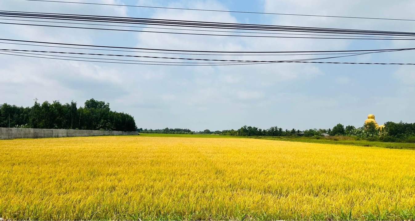 Nhà cấp 4 Tân Thới Nhất 100m² giá 4.68 tỷ - Chính chủ bán gấp!