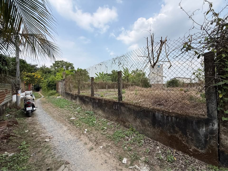 Bán đất thổ cư Tân Hiệp 648m² giá 1.3 tỷ - Đầu tư sinh lời hấp dẫn!