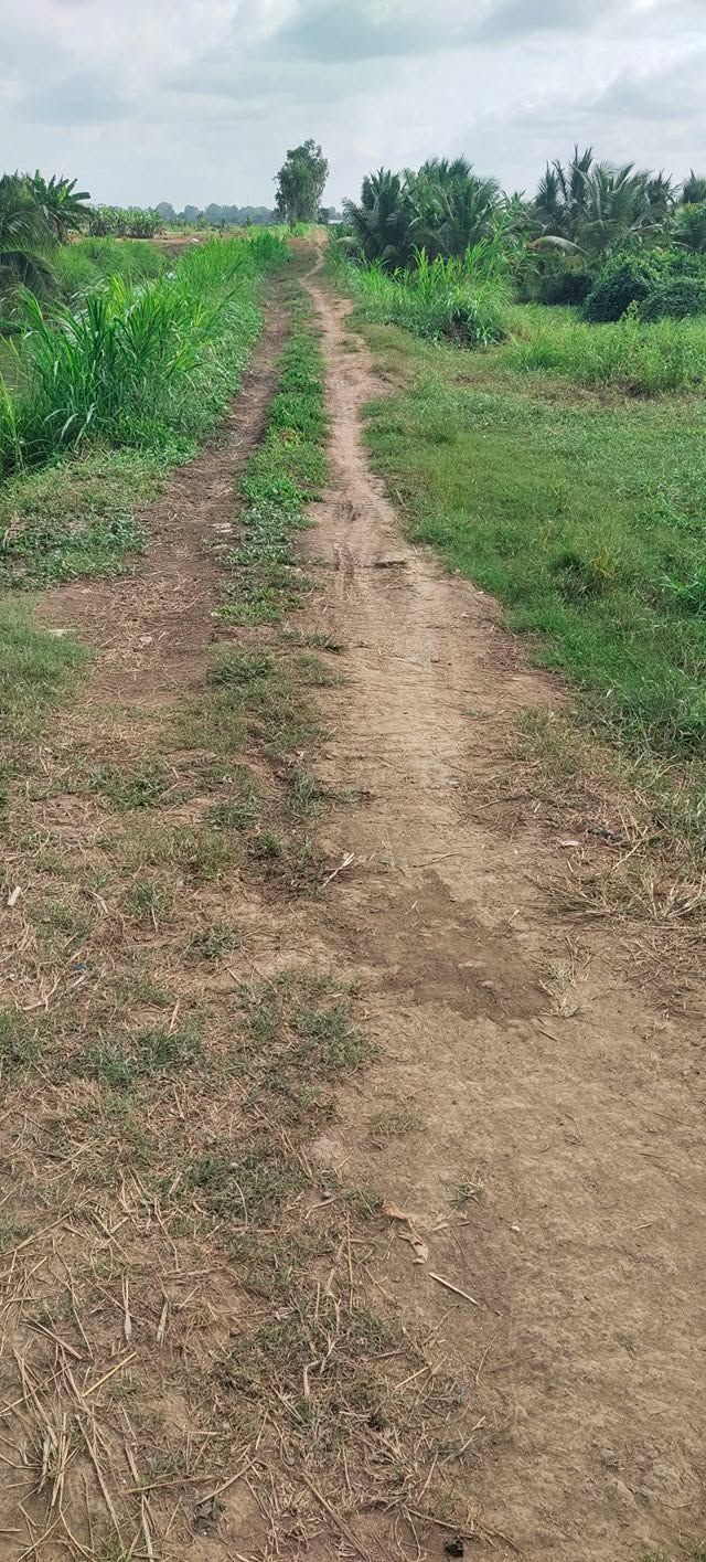 Đất nền giá 1.3 tỷ tại Châu Thành, Trà Vinh - Cơ hội đầu tư tuyệt vời!