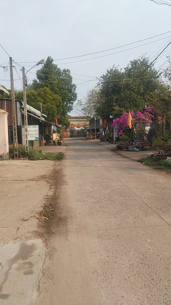 Đất nền trung tâm chợ Tân Thành 10000m² giá thỏa thuận - Cơ hội đầu tư lý tưởng!