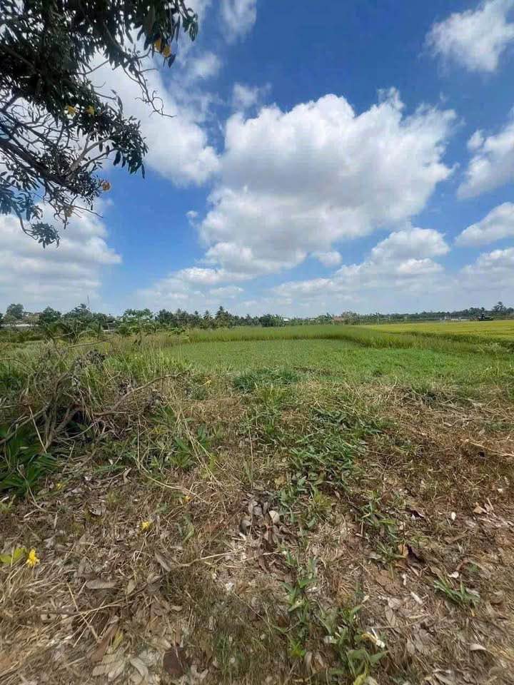 Đất nền mặt tiền đường Lê Văn Cảng, Tây Ninh 2031m² - Giá chỉ 4.9 tỷ