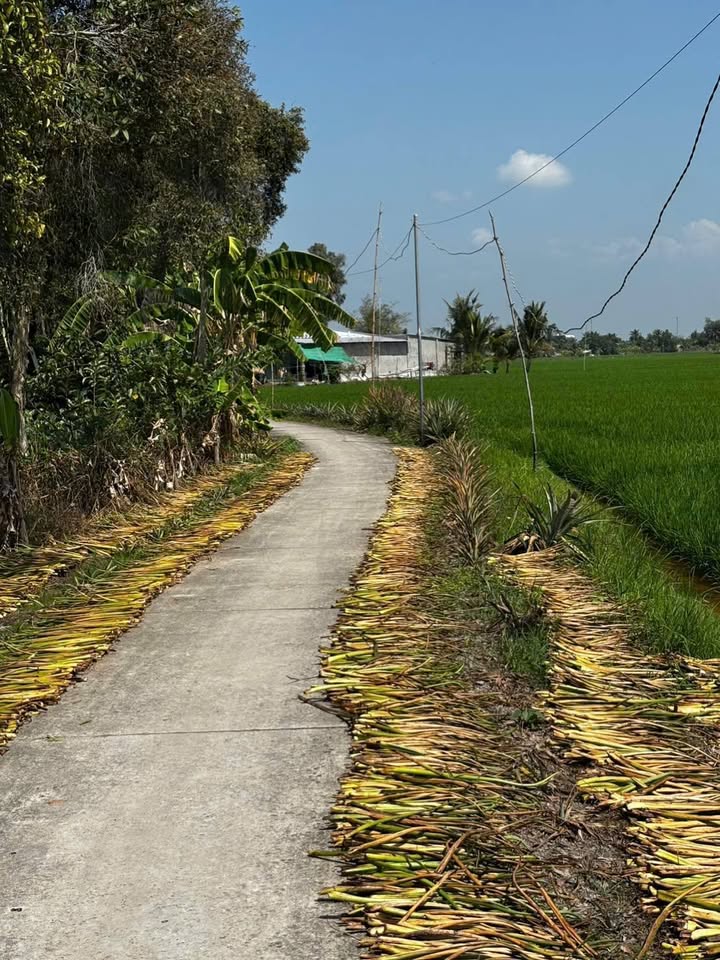 Đất nền 1700m² Xã Vĩnh Hòa Hưng, Gò Quao, Kiên Giang chỉ 320 triệu - Cơ hội đầu tư tuyệt vời!