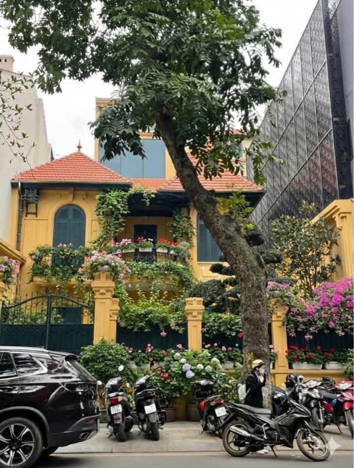 Thửa đất vàng xây building tại phố Trần Hưng Đạo, Hoàn Kiếm - 380m², mặt tiền 9m - Cơ hội hiếm có!