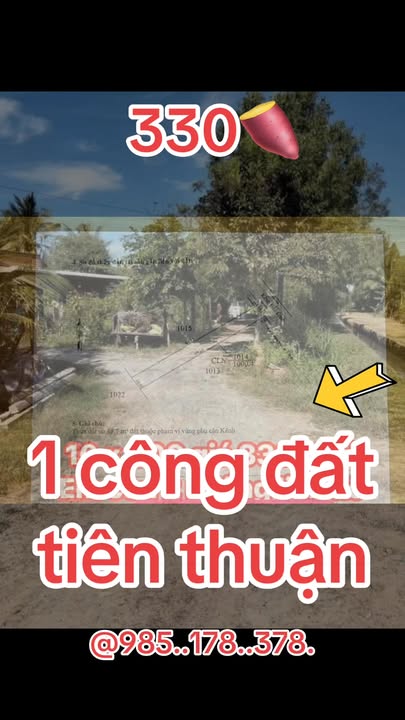 Đất nền ấp Bàu Tép, Bến Cầu 1000m² giá chỉ 330 triệu - Sổ hồng riêng, công chứng ngay!