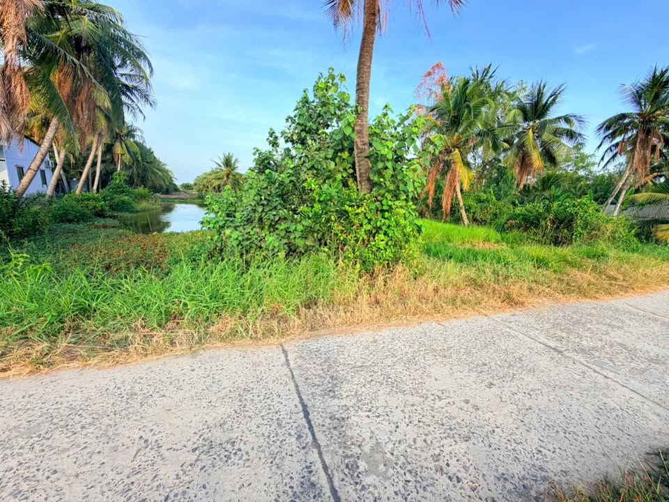 Đất nền 1,5 công tại Xã Hưng Mỹ, Vĩnh Long diện tích 1.385m² giá 750 triệu - Cơ hội đầu tư tuyệt vời!