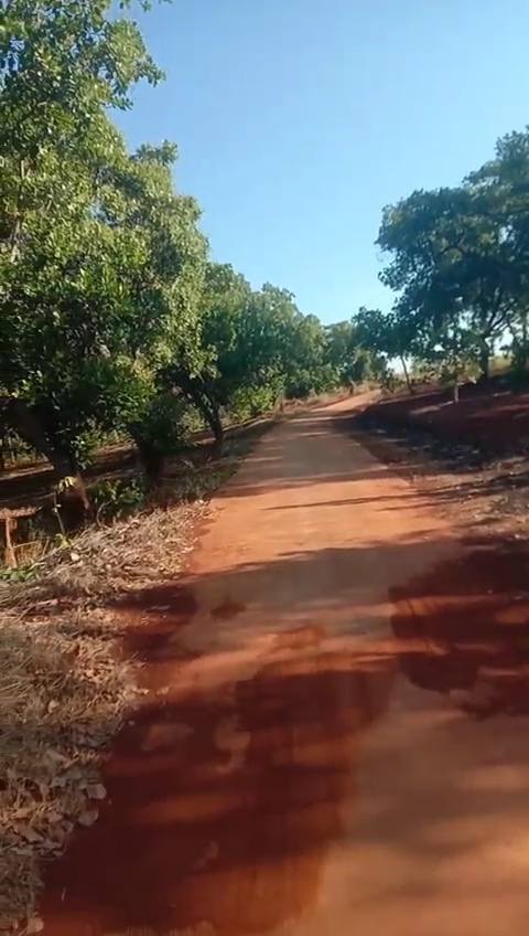 Đất nền 25.000m² Tân Hưng, Đồng Phú giá 4 tỷ - Cơ hội đầu tư tuyệt vời!