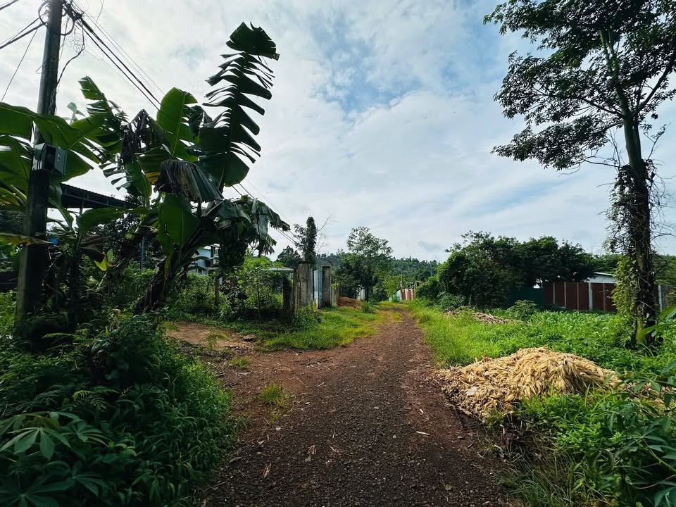 Đất thổ cư Phường Ea Tam 740m² giá 1.48 tỷ - Đầu tư sinh lời ngay!