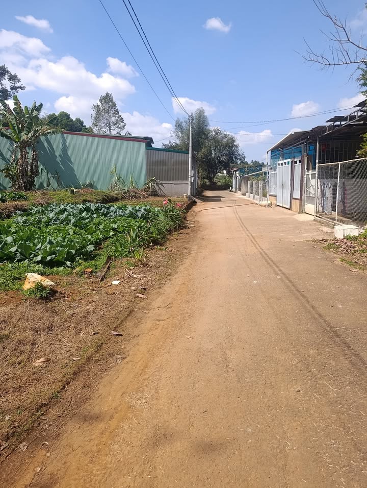 Đất thổ cư 150m² hẻm Mạc Đĩnh Chi Bảo Lộc giá 1.37 tỷ - Sổ hồng chính chủ!