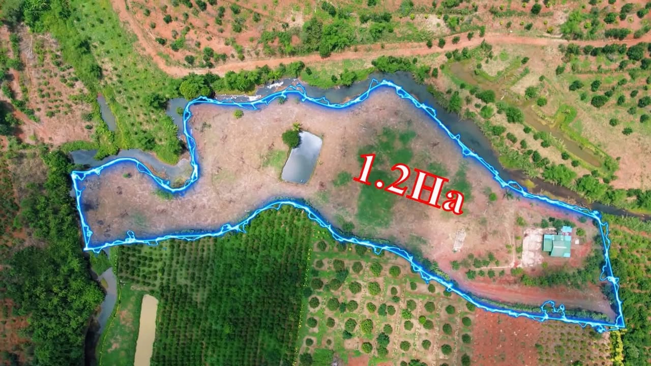 Đất Farm 1.2ha tại Đắk Wer, 2.5 tỷ - Tiềm năng đầu tư lớn!