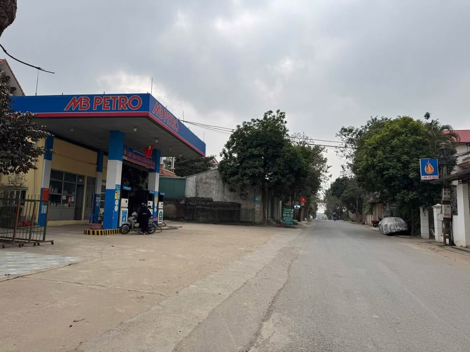 Đất nền lô góc 100m² tại An Hòa, Tam Dương - Kinh doanh sầm uất!