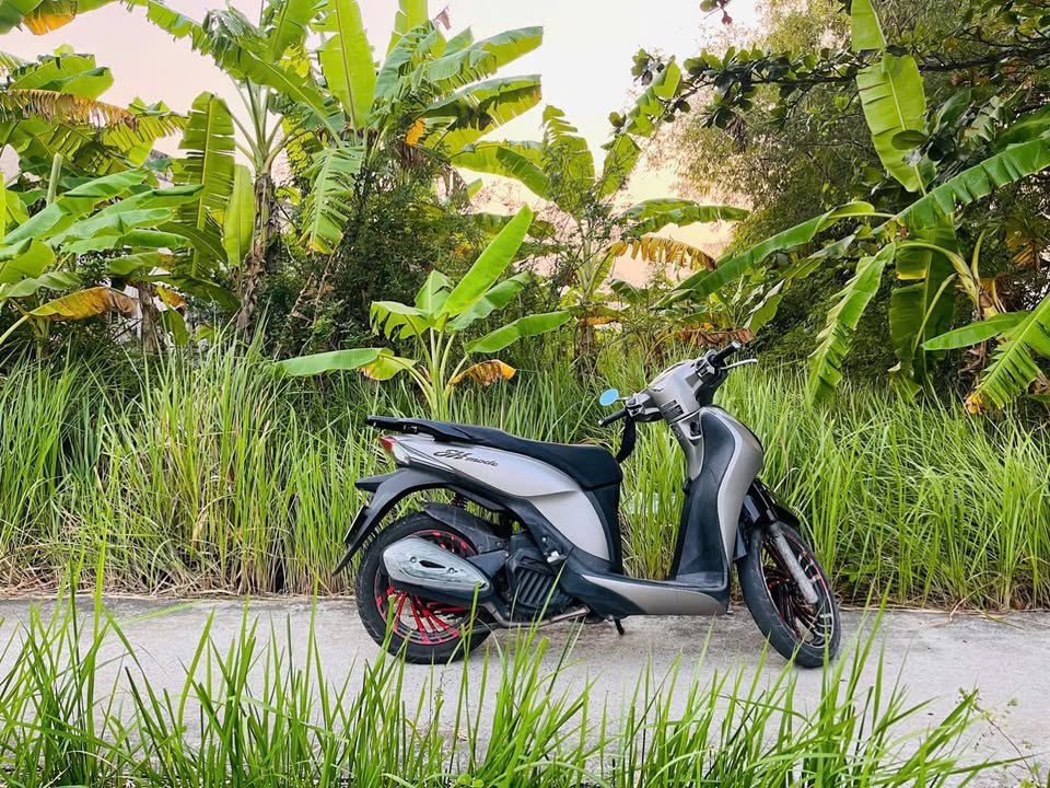 Đất mặt tiền đường xe Hoa Lâm, Xã Đại Hòa Lộc, 269m² giá 807 triệu - Sổ đỏ chính chủ!