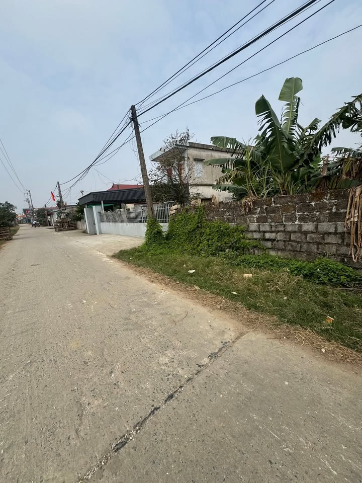 Đất nền xã Đại Thắng, huyện Vụ Bản, 154m² giá 1.15 tỷ - Cơ hội đầu tư hợp lý!