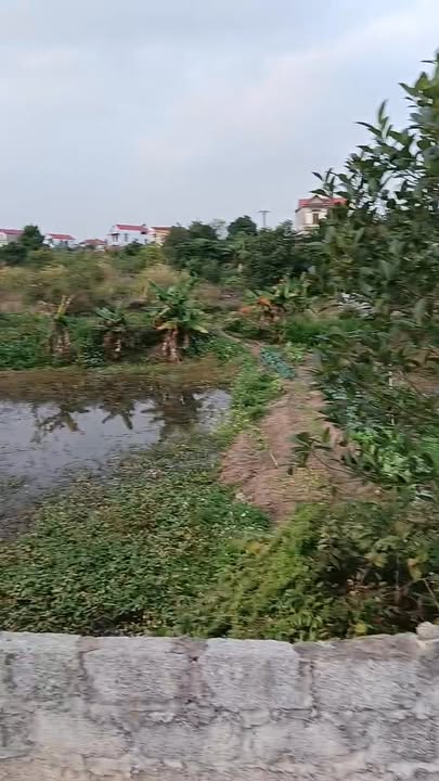 Căn hộ CC Lan Mẫu Lục Nam 240m² giá thỏa thuận - View hồ đẹp thoáng mát!