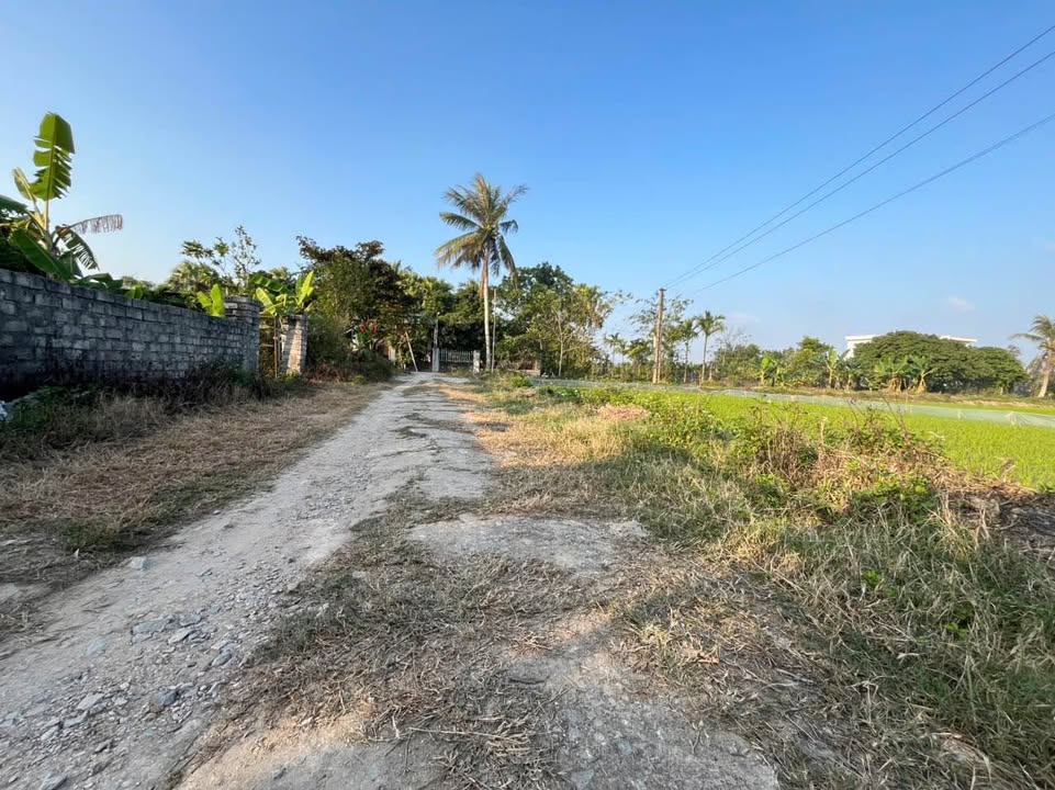 Đất thổ cư Bái Vàng, Tân Phong 250m² giá 1 tỷ - Hướng Đông, thông tứ phía!