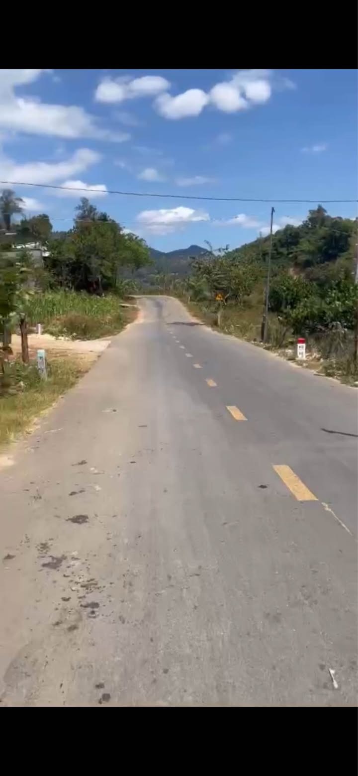 Đất thổ cư 700m² mặt tiền đường nhựa Phước Bình - Tiềm năng kinh doanh lớn!