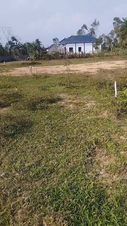 Đất nền xã Văn Thành, huyện Yên Thành 224m² giá chỉ 500 triệu - Cơ hội đầu tư tuyệt vời!