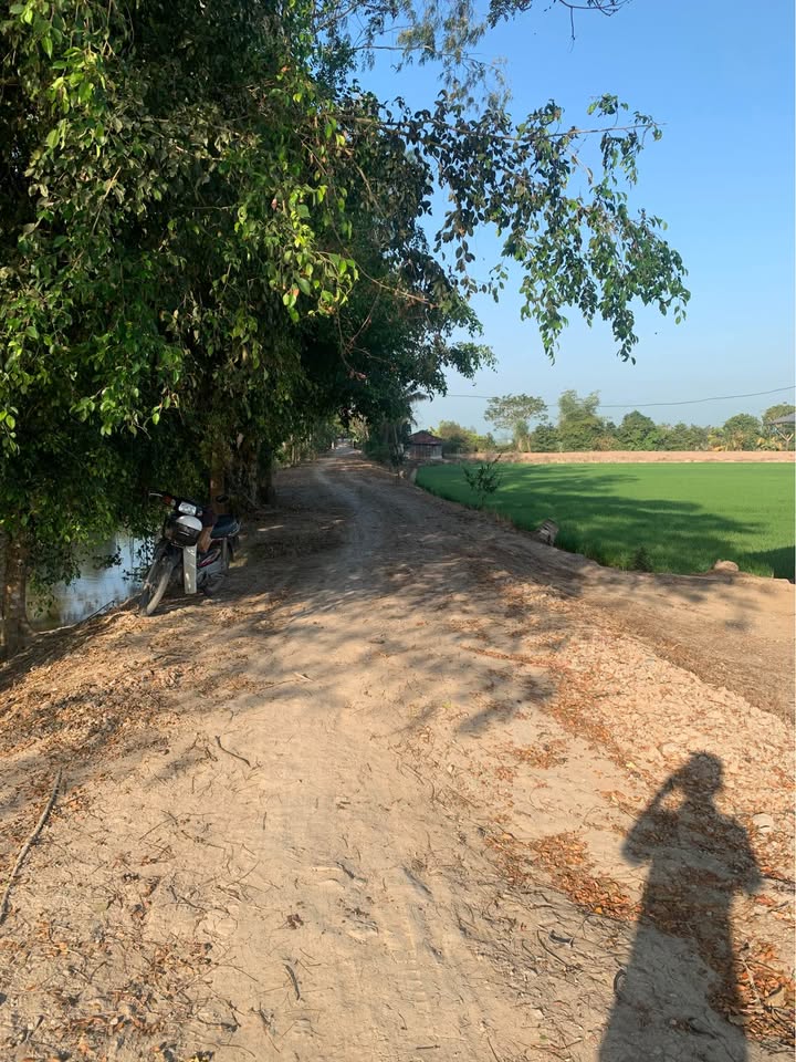 Đất nền 15000m² tại Mỹ Phú Đông, Thoại Sơn - Cơ hội đầu tư hấp dẫn!