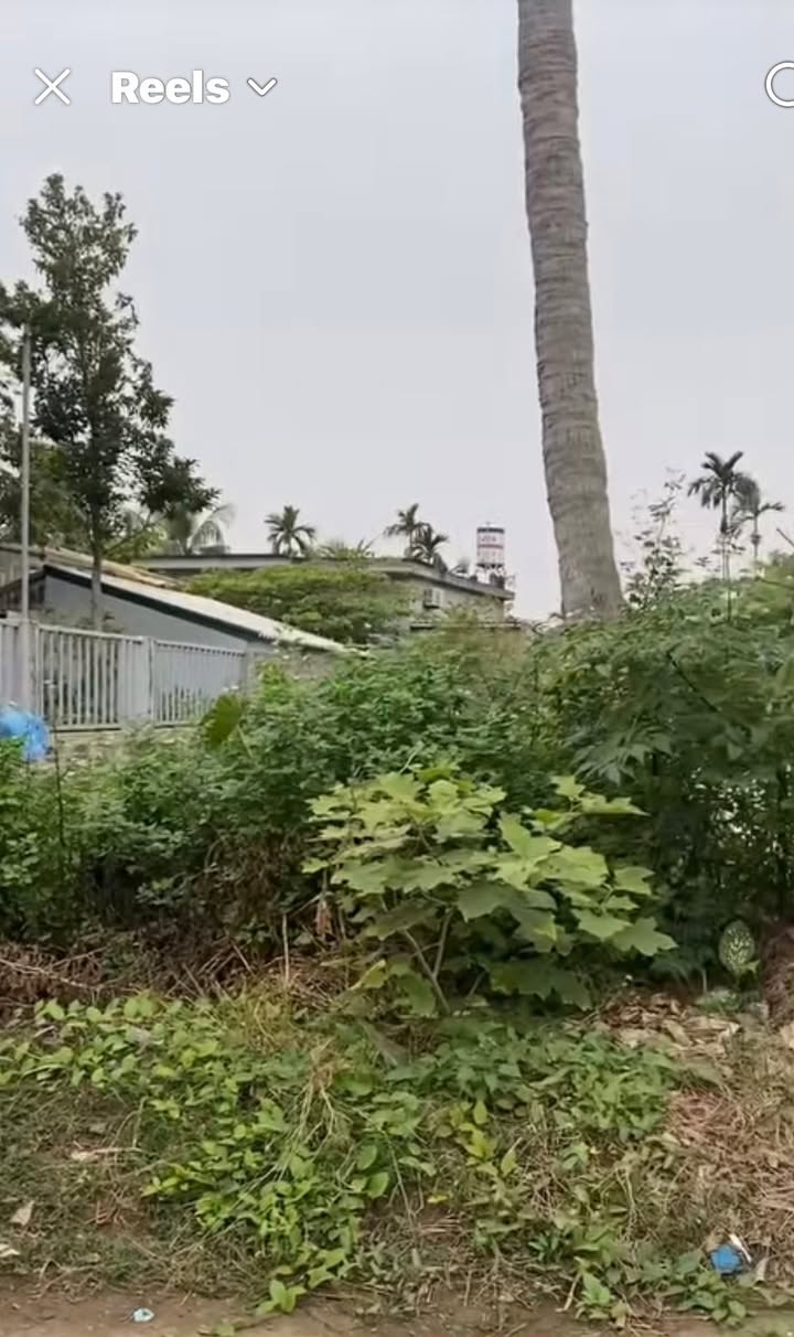 Đất nền tại xã Chí Minh, huyện Tứ Kỳ, Hải Dương 139m² - Sổ đỏ chính chủ, giá tốt!