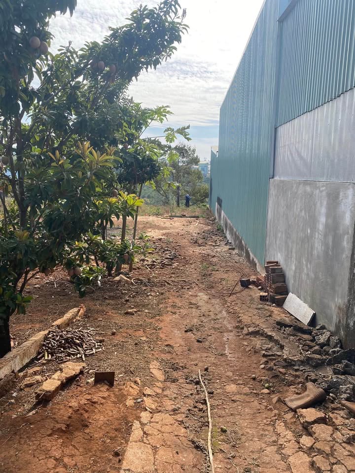 Đất thổ cư Phường Diên Hồng 250m² giá 700 triệu - Sổ đỏ chính chủ!