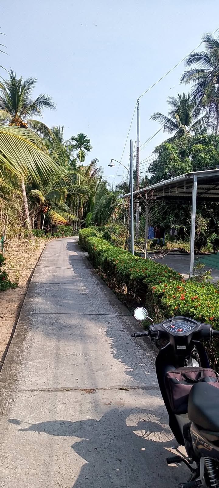 Đất vườn 2 công tại ấp Ba, xã Châu Khánh, Huyện Long Phú - Giá 750 triệu, thương lượng