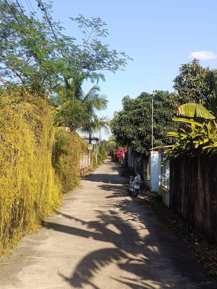 Đất thổ cư Thôn 11 Hòa Phú, Buôn Ma Thuột 493m² giá 6.646 tỷ - Mặt tiền đường bê tông!