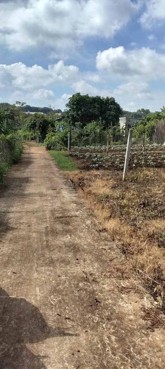 Đất nền thôn Đại Đồng, xã Ea Nuôl 700m² giá 380 triệu - Sổ riêng, đường bê tông ô tô