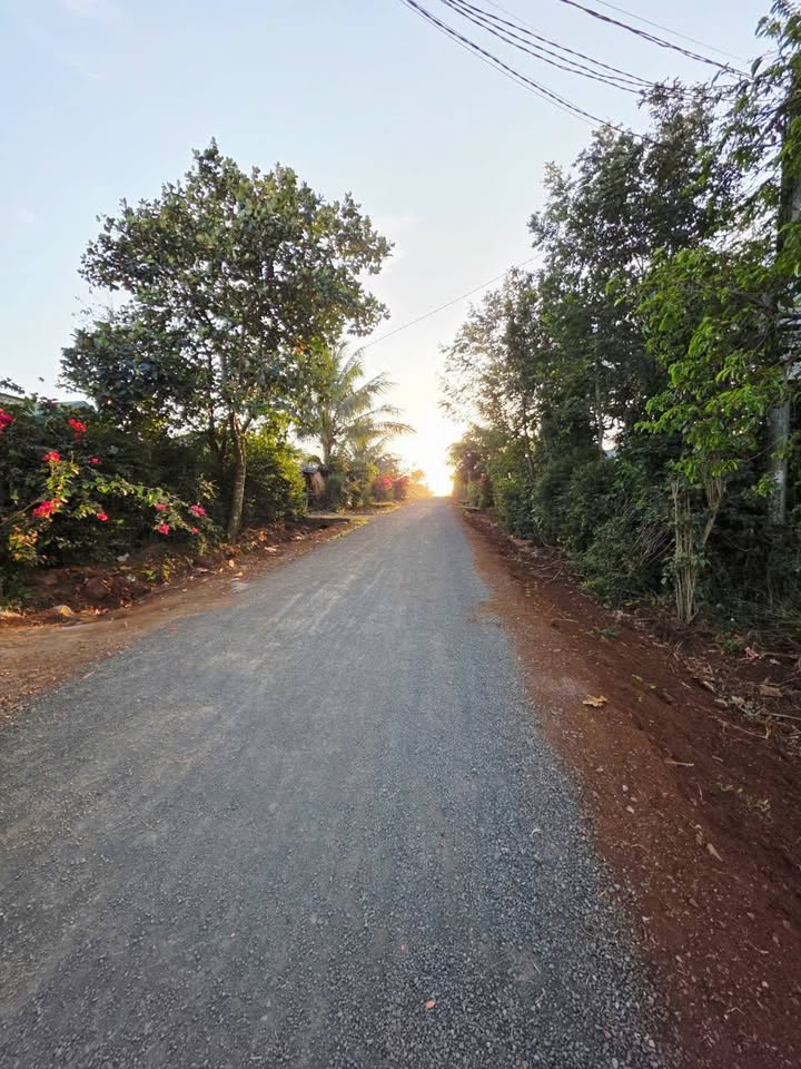 Đất nền Xã Cuôr Đăng, Huyện Cư M'gar, 240m² - Giá tốt, vị trí đẹp!