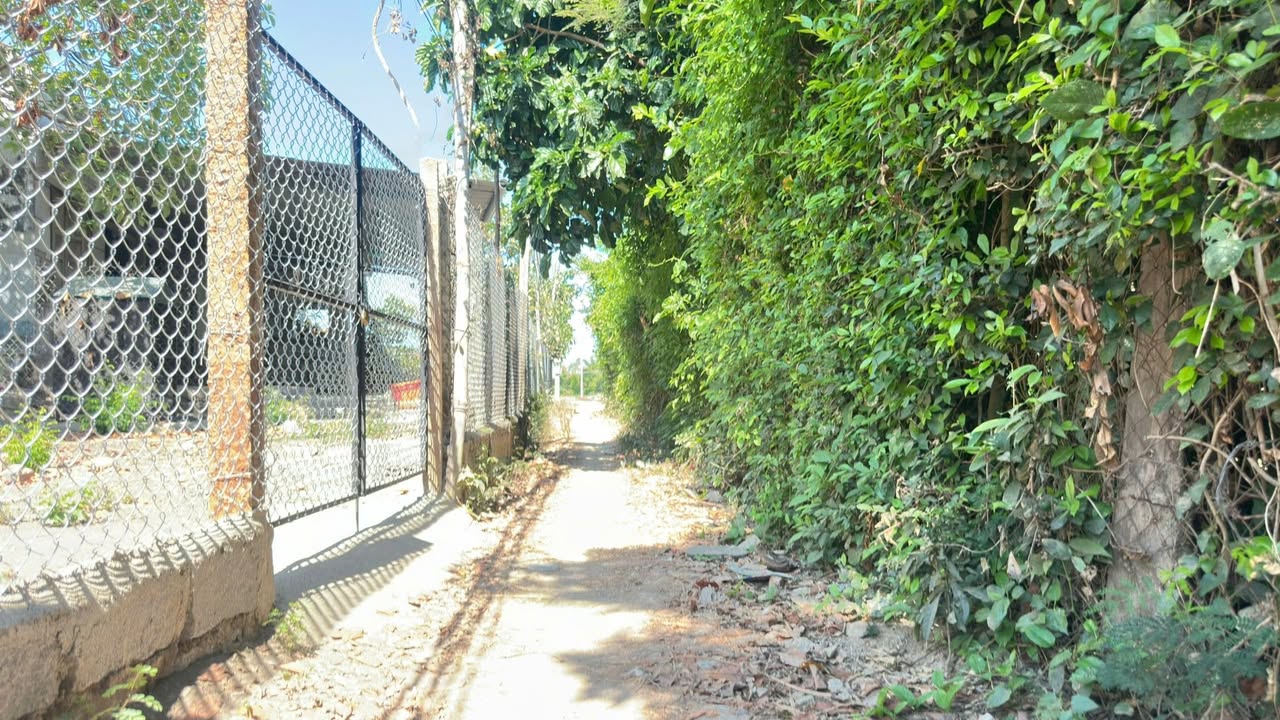 Đất nền Vạn Bình Cũ 215m² giá 700 triệu - Mặt tiền 13m, đầu tư sinh lời!