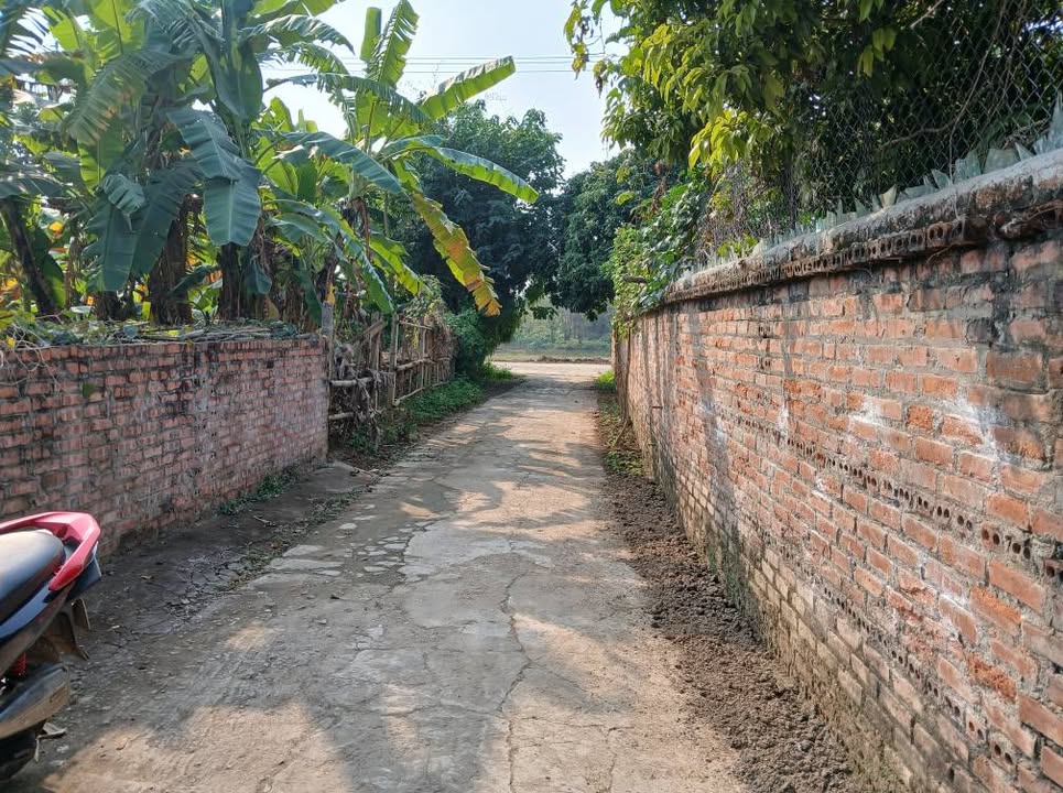 Đất nền khu 2 Bến Gót, Việt Trì 99m² giá 1 tỷ - Giao thông thuận lợi!