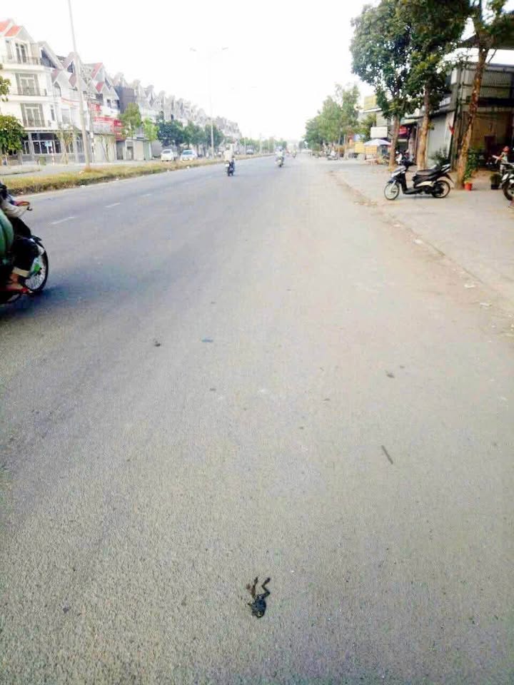 Đất nền Xóm 2 - Phú Mỹ Thượng, TP Huế 180m² giá 2.4 tỷ - Đầu tư sinh lời ngay!