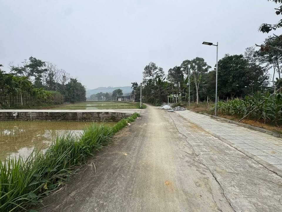 Đất nền Vô Tranh, Hạ Hoà, Phú Thọ 235m² chỉ 300 triệu - Cơ hội đầu tư tuyệt vời!