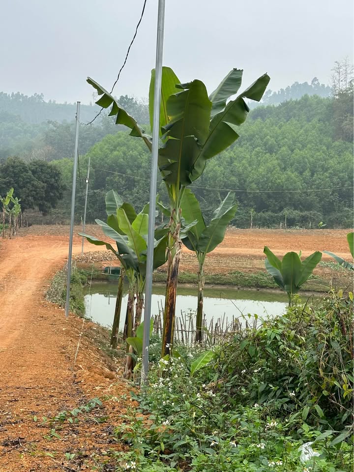 Đất nền Phúc Lộc B An Khang 200m² giá 900 triệu - Cơ hội đầu tư tuyệt vời!