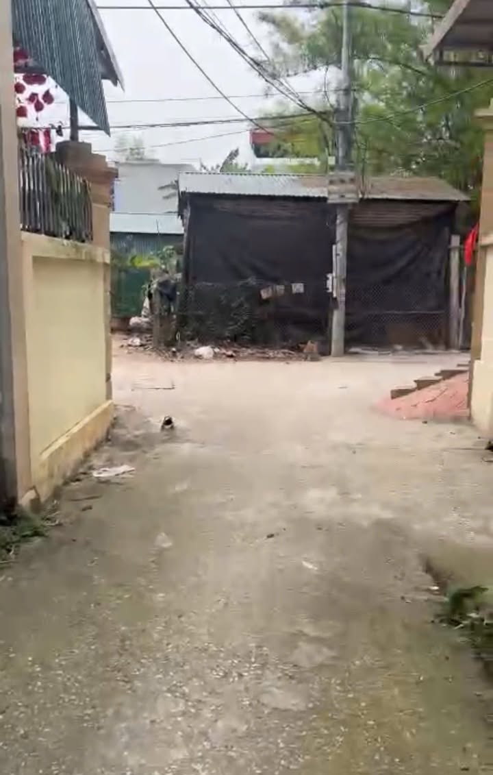 Đất nền Tô Hiệu, Thường Tín 46m² giá chỉ 2 tỷ - Cơ hội đầu tư tốt!