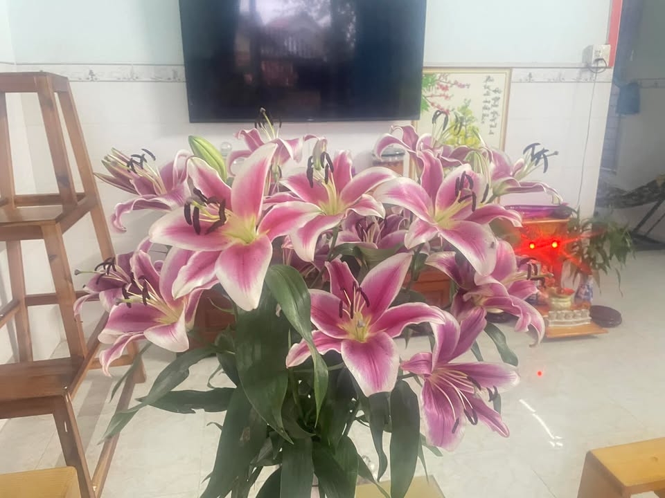 Đất mặt tiền Quốc Lộ 19 Tây Xuân 131m² giá chỉ 1.1 tỷ - Cơ hội đầu tư lý tưởng!