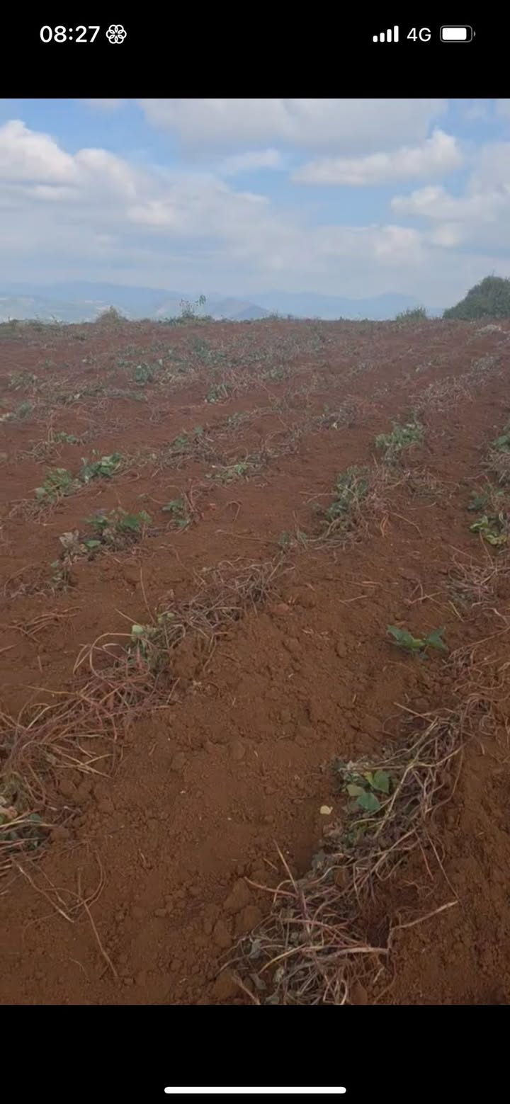 Đất nông nghiệp xã Tân Văn, huyện Lâm Hà 20.000m² giá 7.02 tỷ - Cơ hội đầu tư tuyệt vời!