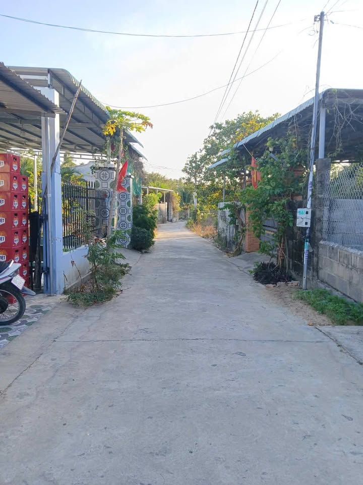 Farm đất Mũi Né, Phan Thiết 3100m² giá 6 tỷ - Cơ hội đầu tư tuyệt vời!