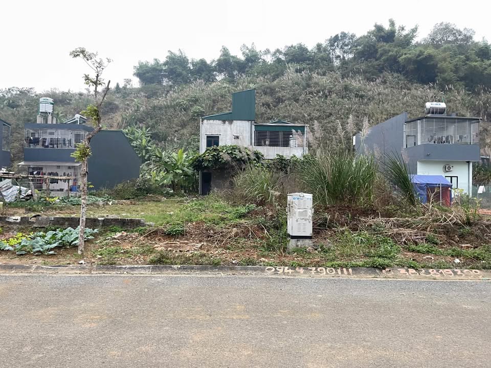 Đất nền đường BM15, P. Xuân Tăng, Lào Cai 100m² - Cắt lỗ nhanh!