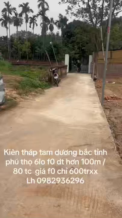 Đất nền Kiên Tháp, Tam Dương, 103m² - Vị trí đắc địa, chính chủ bán gấp!