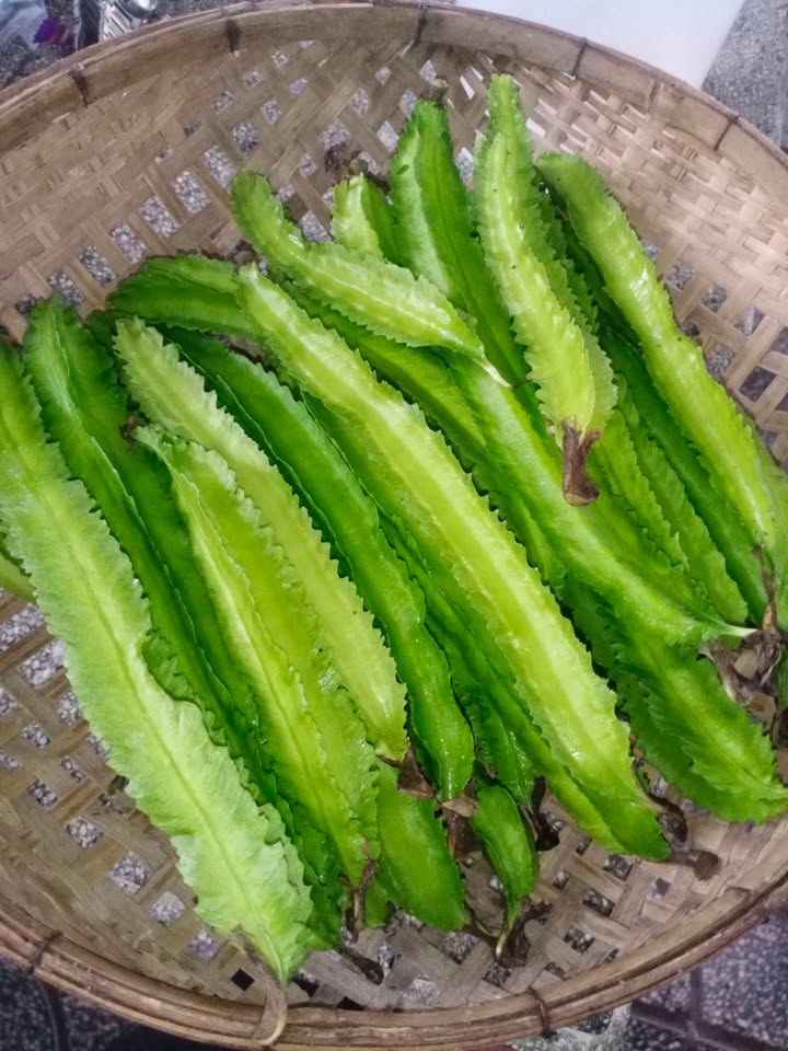 Đất nền Trường Đông, Thị xã Hòa Thành, 1600m² giá chỉ 450 triệu - Cơ hội đầu tư tuyệt vời!