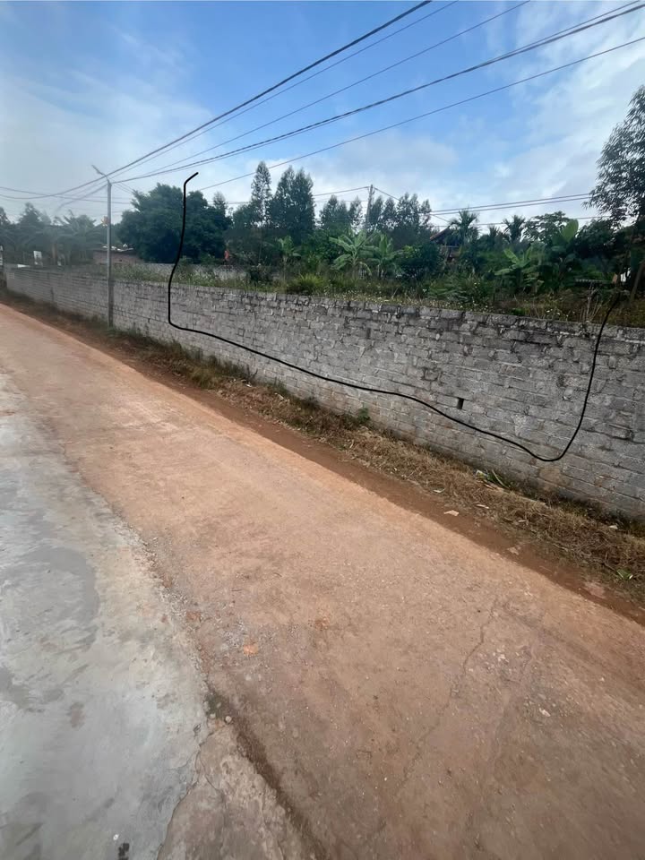 Đất nền thôn Kim Xa, xã Cẩm Lý, 100m² giá chỉ 500 triệu - Cơ hội đầu tư sinh lời!