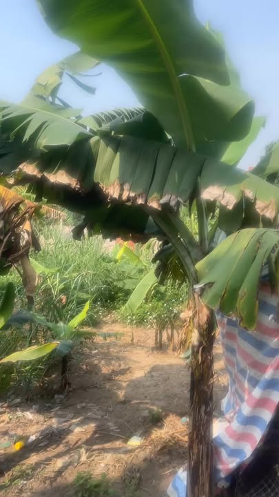 Đất nền thôn Tân Mĩ 1, Hưng Yên 130m² giá thỏa thuận - Đường xe 7 chỗ vào tận nơi!