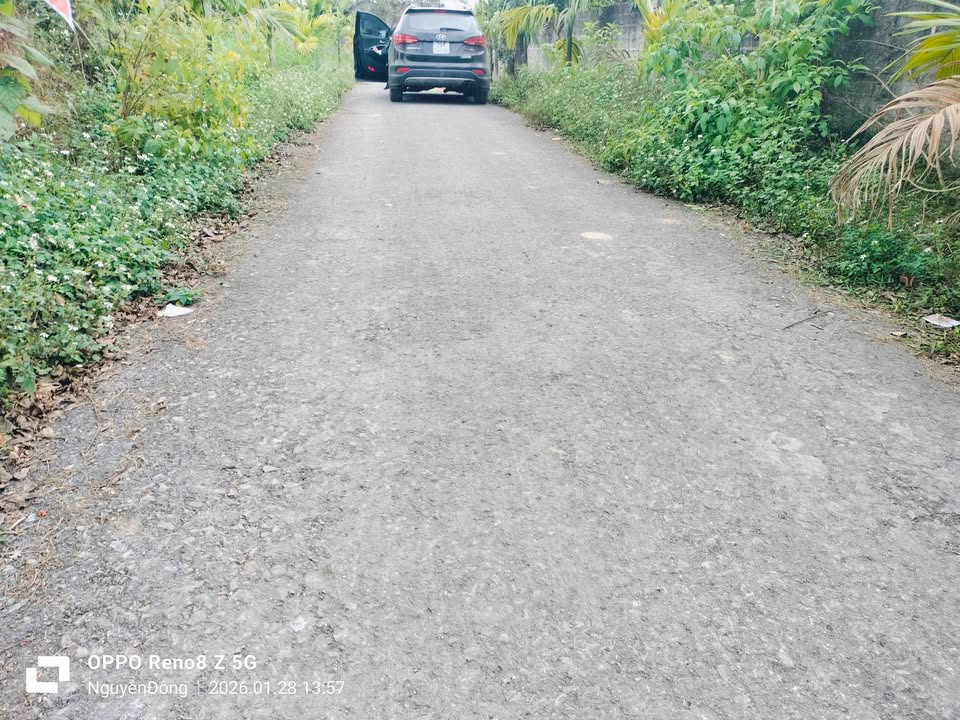 Đất vườn rộng 591m² tại Yên Thế, Bắc Giang - Pháp lý rõ ràng, giá thỏa thuận!