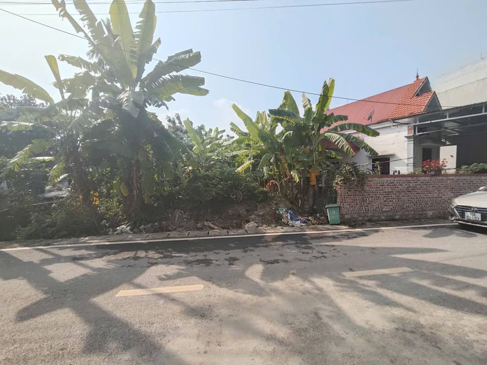 Đất nền 97m² tại Tổ dân phố Hầu, Thủy Nguyên - Cơ hội đầu tư vàng!