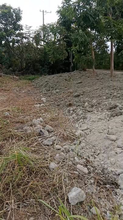 Đất nền Xã Xuân Thọ, Huyện Xuân Lộc, 884m² giá 750 triệu - Đầu tư sinh lời ngay!