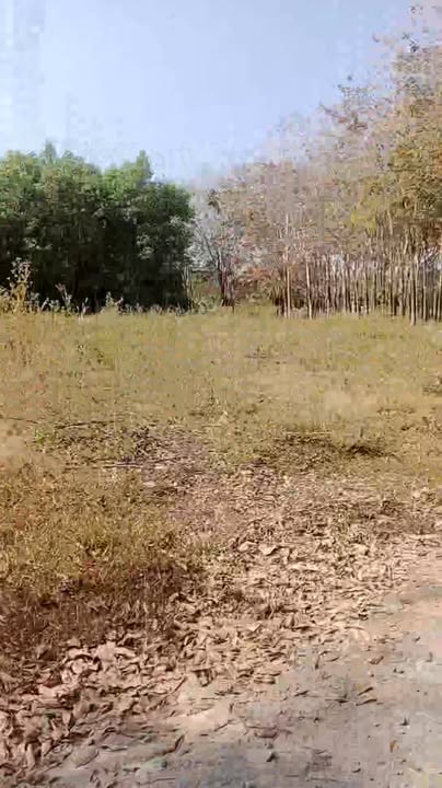 Đất nền 4000m² tại Xã Xuân Thành, Đồng Nai - Giá thương lượng hấp dẫn!