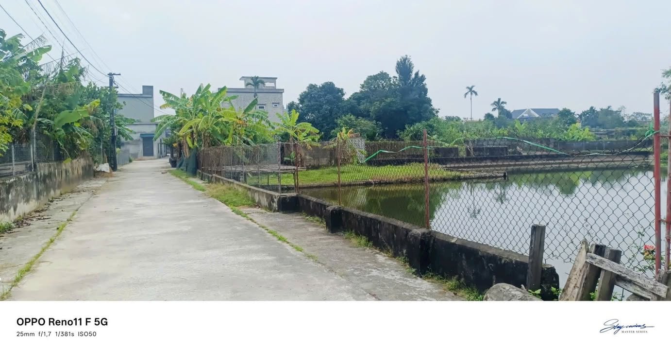 Đất nền Nam Bình Kiến Xương 150m² giá chỉ 500 triệu - Lô góc đẹp, không lỗi lầm!