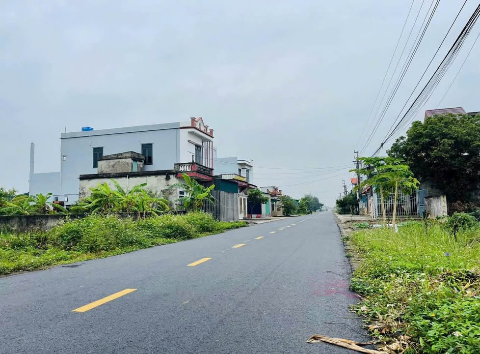 Đất nền Thôn Hải Long, Xã Đông Hoàng, 100m² giá 1 tỷ - Cơ hội đầu tư tuyệt vời!